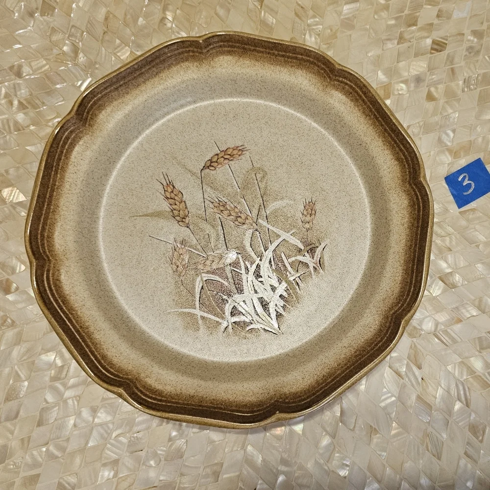 #2 [MIKASA] (2) Dinner Plates: Mikasa Whole Wheat E8001 [2 of 3 pairs]